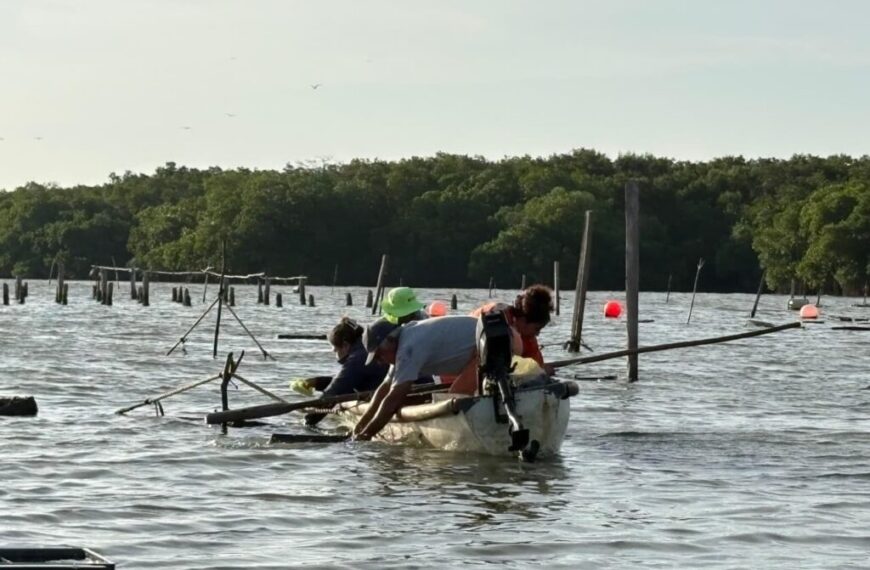 Fortalece Pescando Vida la producción y comercialización de ostión en la Laguna Mecoacán