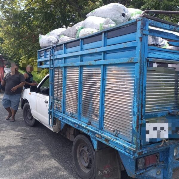 Asegura FGR 90 bultos de carbón vegetales y detiene a una persona