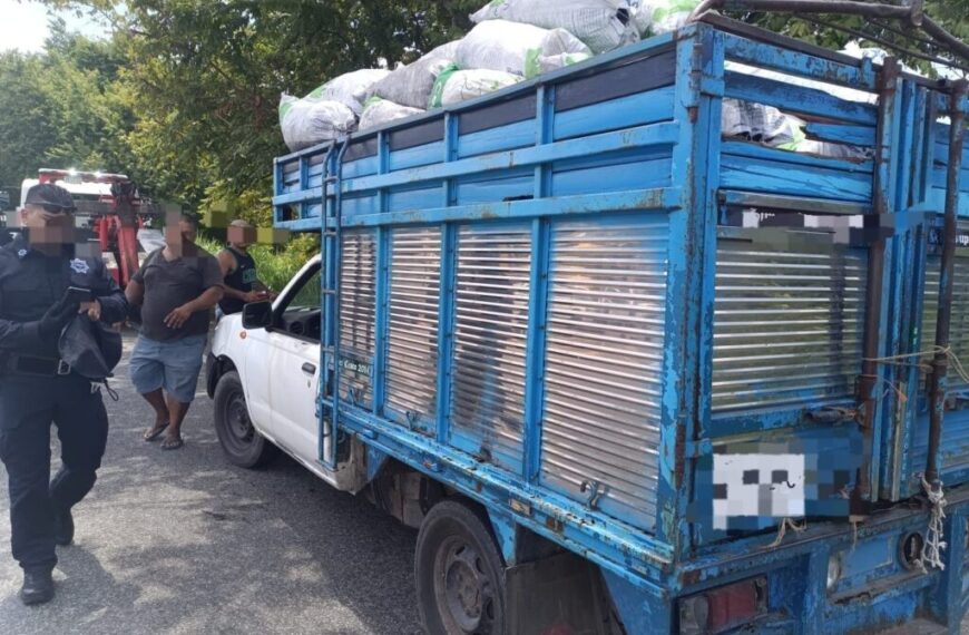 Asegura FGR 90 bultos de carbón vegetales y detiene a una persona