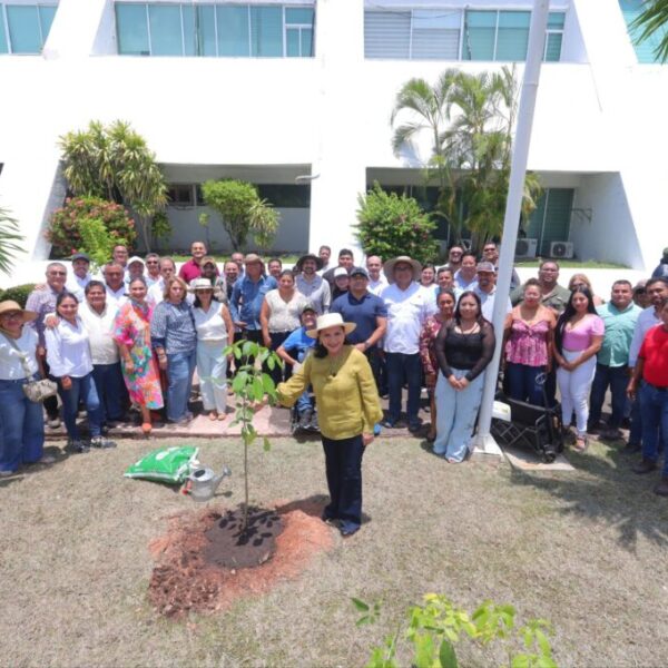 Se suma Centro a la Jornada Nacional de Reforestación con la siembra de más de 150 árboles