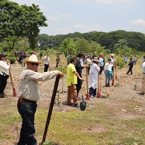 CRÓNICA. Miles de tabasqueñas y tabasqueños hacen las paces con la naturaleza durante la Jornada Nacional de Reforestación