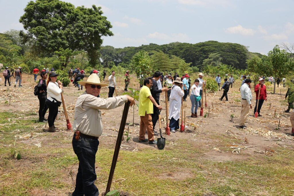 CRÓNICA. Miles de tabasqueñas y tabasqueños hacen las paces con la naturaleza durante la Jornada Nacional de Reforestación