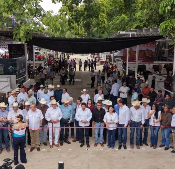 Cuarta Edición de la Muestra Mexicana de Cebú impulsa la actividad agropecuaria de Tabasco