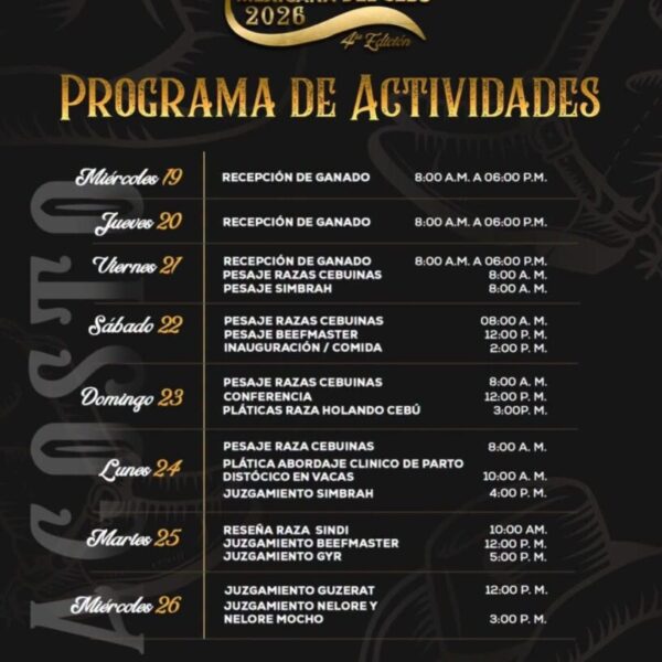 Continúan actividades de cuarta edición de Muestra Mexicana del Cebú; este lunes inician juzgamientos de razas participantes