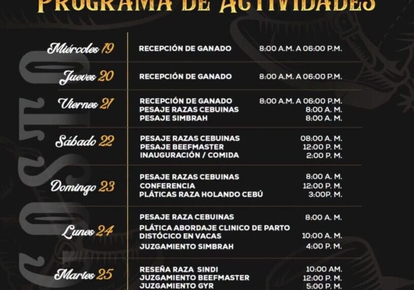 Continúan actividades de cuarta edición de Muestra Mexicana del Cebú; este lunes inician juzgamientos de razas participantes