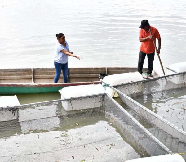 Mujeres rompen prejuicios con el programa Pescando Vida