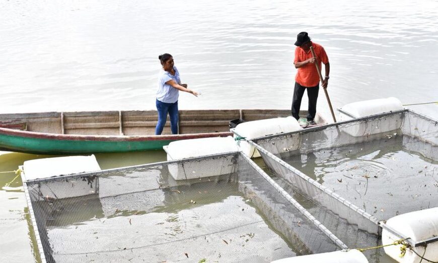 Mujeres rompen prejuicios con el programa Pescando Vida