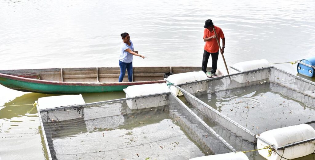 Mujeres rompen prejuicios con el programa Pescando Vida