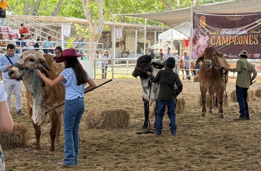 Clausuran con éxito la Muestra Mexicana del Cebú en Tabasco