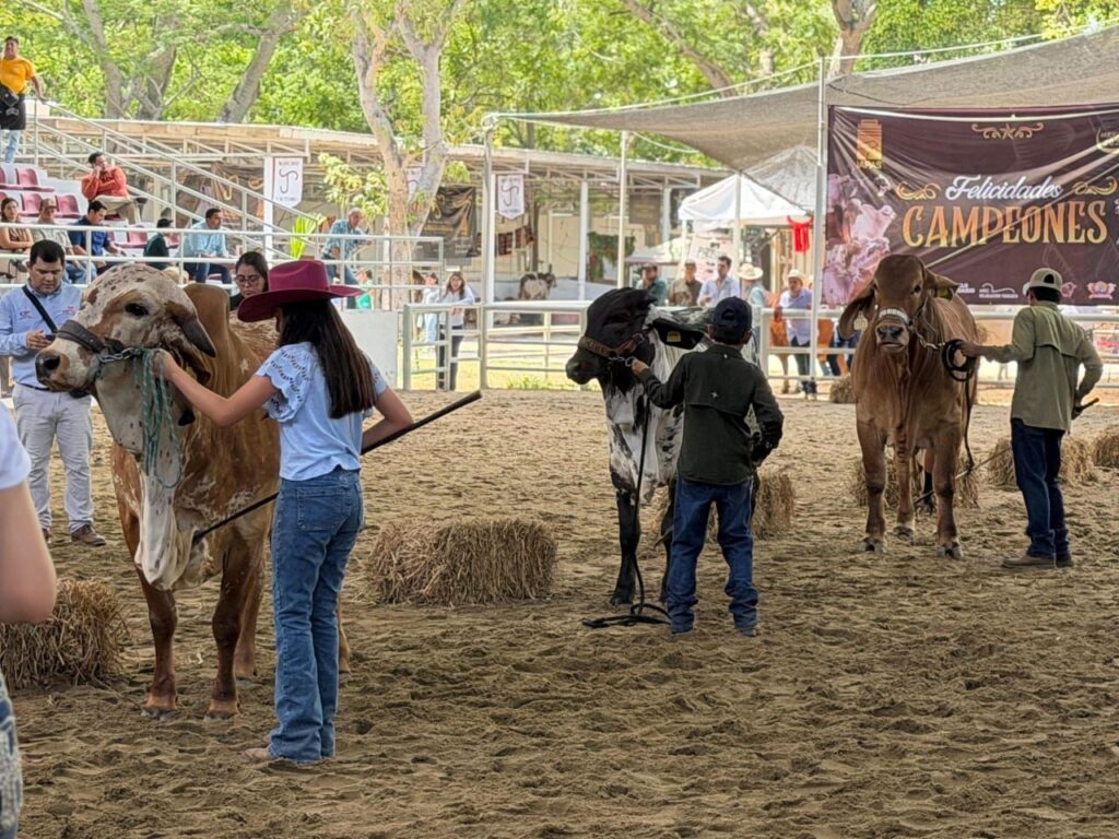 Clausuran con éxito la Muestra Mexicana del Cebú en Tabasco