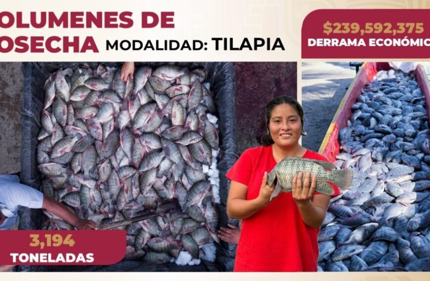 Programas productivos del Gobierno del Pueblo fortalecen la economía estatal al generar una derrama económica de más de 260 mdp