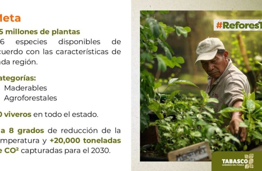 Convoca Javier May a Tabasco a sembrar futuro con 2.5 millones de plantas, este 4 de octubre