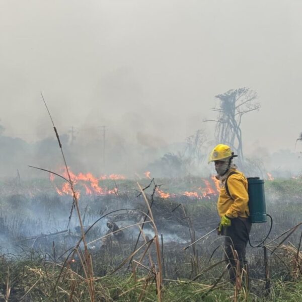 Atiende Protección Civil de Centro 270 incendios en lo que va del año