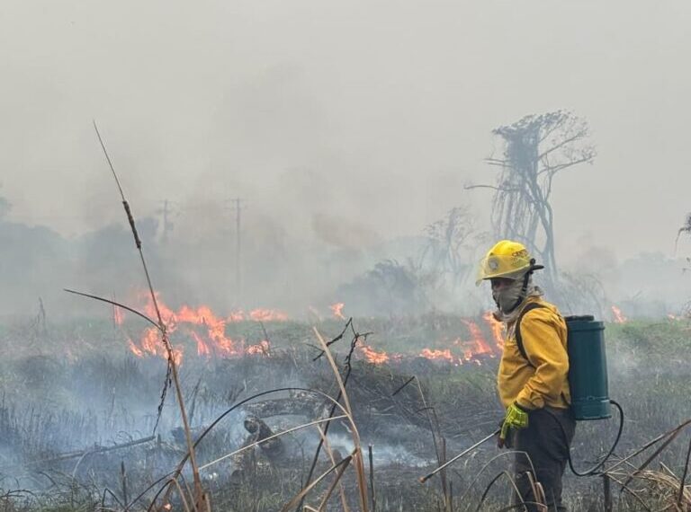 Atiende Protección Civil de Centro 270 incendios en lo que va del año