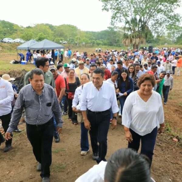 Miles de manos participan en la Jornada de Reforestación 2026