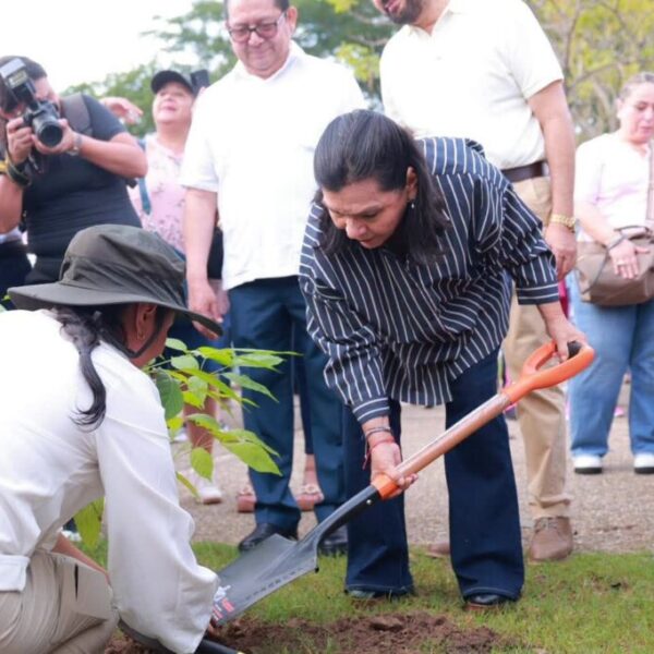 Se suma Centro a Jornada de Reforestación 2026 con la meta de sembrar 140 mil árboles