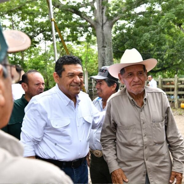 Mas de 133 mil bovinos serán atendidos en barrido sanitario como apoyo al sector ganadero de Cárdenas