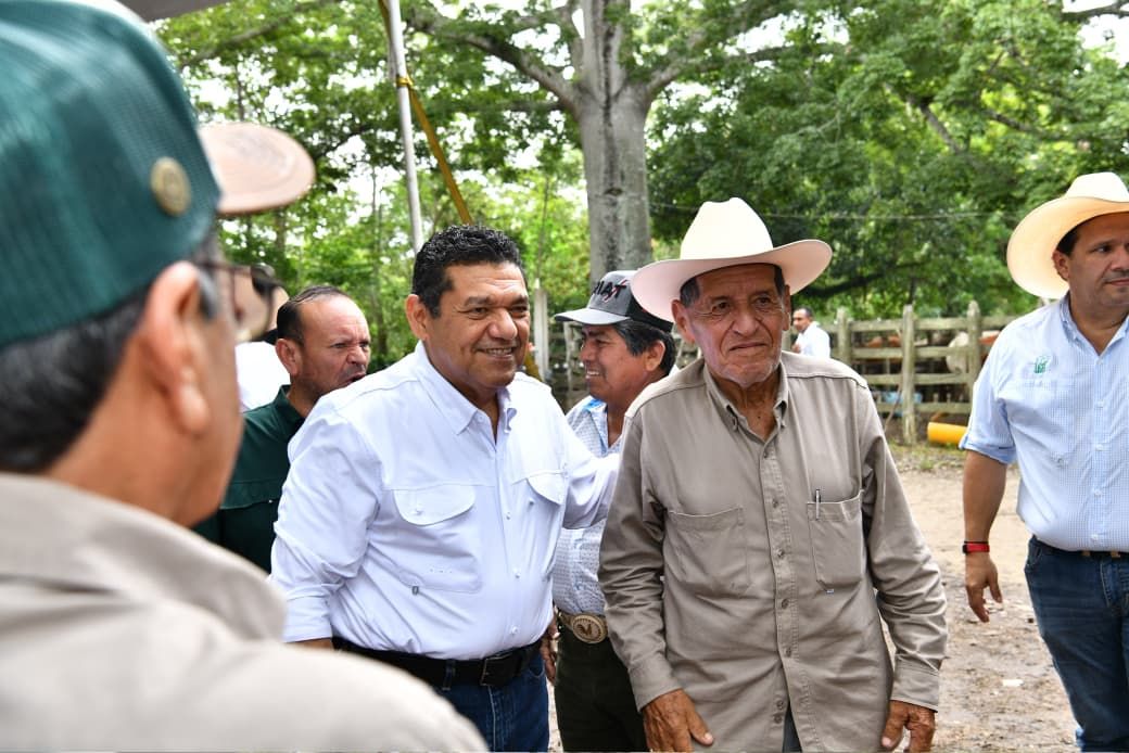 Mas de 133 mil bovinos serán atendidos en barrido sanitario como apoyo al sector ganadero de Cárdenas
