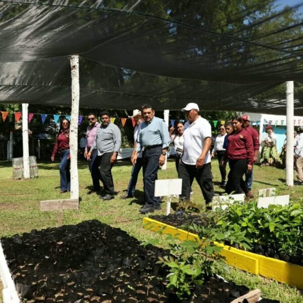 Gobierno del Pueblo mete acelerador a recuperación carretera de Tenosique, y traza ruta para detonar nuevo polo de turismo de naturaleza