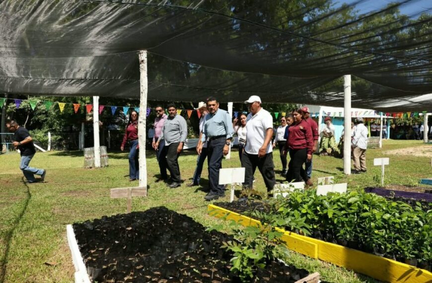 Gobierno del Pueblo mete acelerador a recuperación carretera de Tenosique, y traza ruta para detonar nuevo polo de turismo de naturaleza